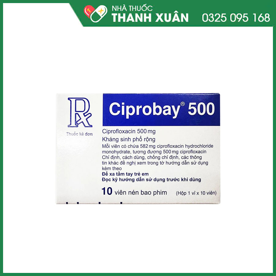 Ciprobay 500 kháng sinh phổ rộng điều trị nhiễm trùng hô hấp, tai, mắt, tiết niệu, nhiễm trùng cơ quan sinh dục, bệnh lậu và viêm tiền liệt tuyến